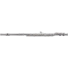 Roy Benson Příčná flétna FL-602E Pro série