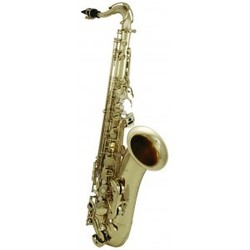 Roy Benson Bb-Tenor Saxophon TS-302 Pro série