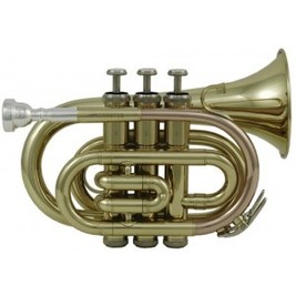 Roy Benson Bb – kapesní trumpeta PT-101 Student série