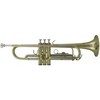 Roy Benson Bb-trumpeta TR-202 Student Pro série
