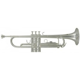Roy Benson Bb-trumpeta TR-202S Student Pro série