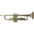Roy Benson Bb-trumpeta TR-202G Student Pro série