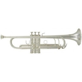 Roy Benson Bb-trumpeta TR-402 Pro série TR-402S